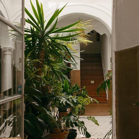 Hostal Africa Tarifa Eksteriør bilde