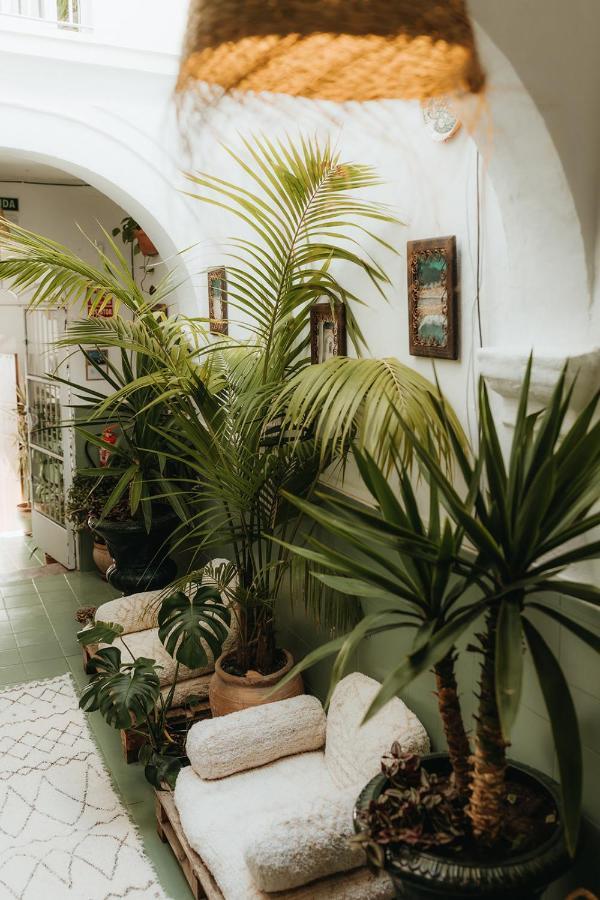 Hostal Africa Tarifa Eksteriør bilde