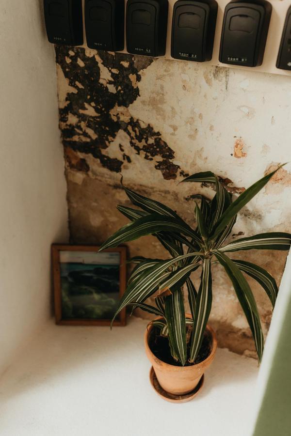 Hostal Africa Tarifa Eksteriør bilde