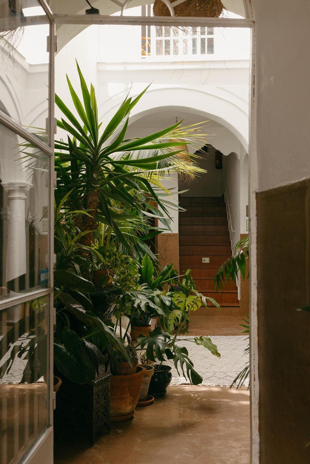 Hostal Africa Tarifa Eksteriør bilde