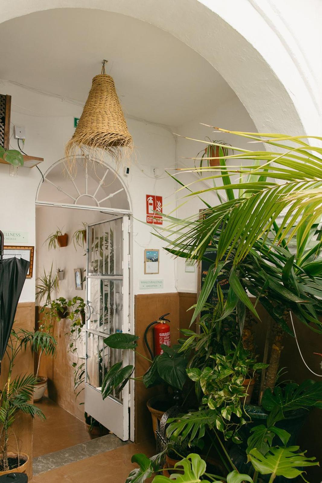 Hostal Africa Tarifa Eksteriør bilde